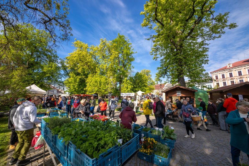 Novoměstské farmářské trhy na vlně slavností Nova Civitas