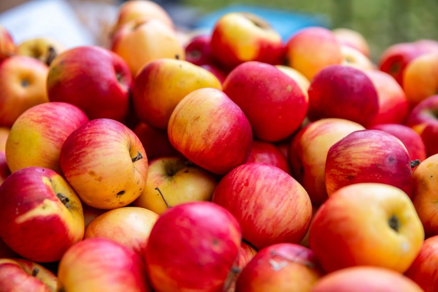 Novoměstské farmářské trhy